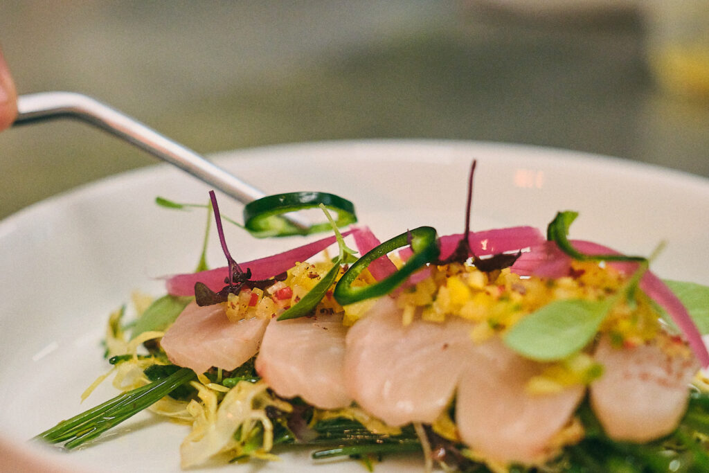 Yannik-Dreß_@yannikdress_PF_25-03-13_14.26.56_2048px